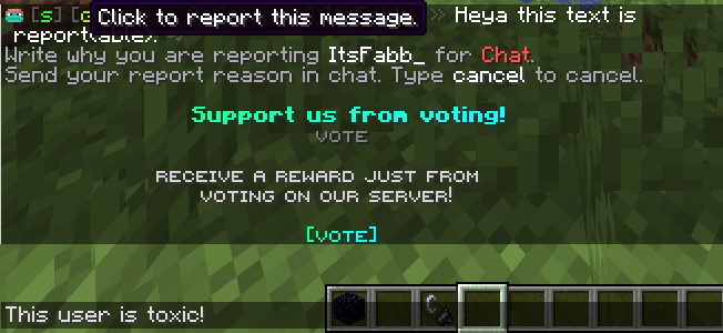 Reports 3